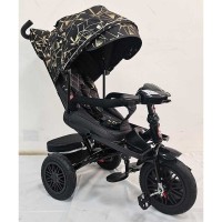 Велосипед триколісний BestTrike "Perfetto" (8066/612-04)